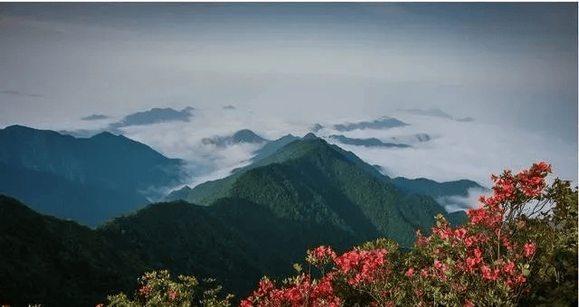 愈” 万亿市场的崛起与银发文旅的机遇澳门新葡京“康养 + 旅居 + 疗(图27) 愈” 万亿市场的崛起与银发文旅的机遇澳门新葡京“康养 + 旅居 + 疗(图27)