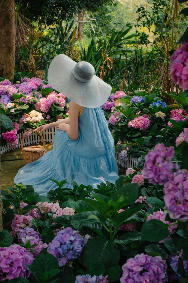 天跟团游价格热门海岛线路报价新葡京2025成都到三亚5(图2)