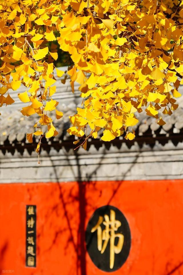 TOP10！冷门宝藏 + 热门地标新葡京娱乐城北京周一不闭馆博物馆(图4)