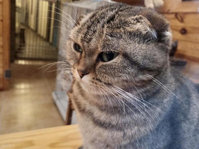 TOP10！冷门宝藏 + 热门地标新葡京娱乐城北京周一不闭馆博物馆(图5)